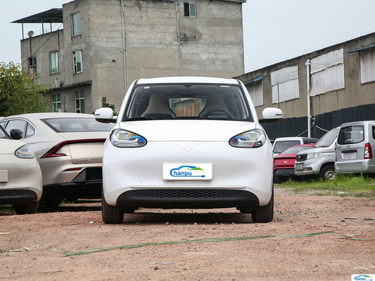 2024 Wuling Bingo 203km Ease Ride-On Electric EV Passenger Car for Energy Vehicle