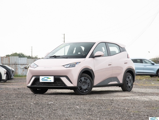 305Km Range Compact Electric Car BYD 2024 Glory Version with Pure Electric Capability