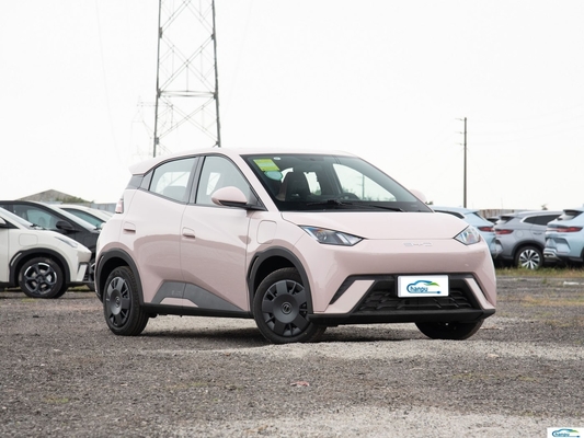305Km Range Compact Electric Car BYD 2024 Glory Version with Pure Electric Capability