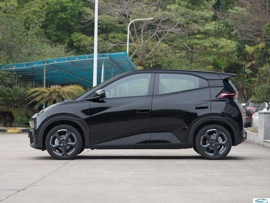 Seagull -2024 Glory Version 305Km Flying Version Electric Car For Byd The Best Choice