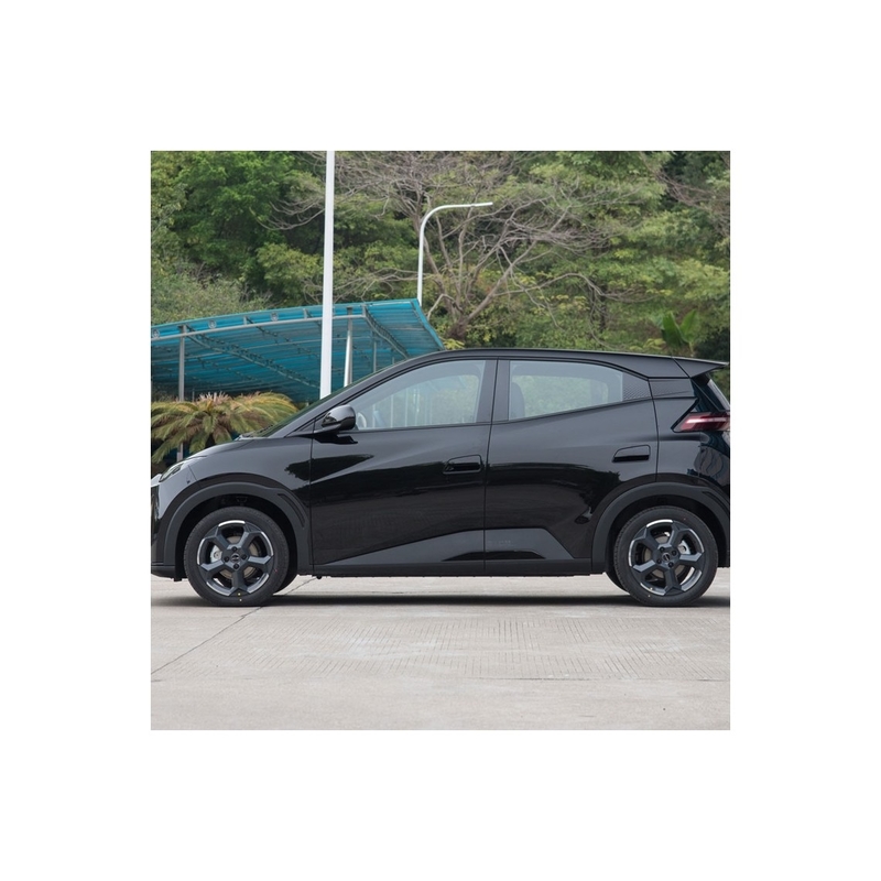 Seagull -2024 Glory Version 305Km Flying Version Electric Car For Byd The Best Choice